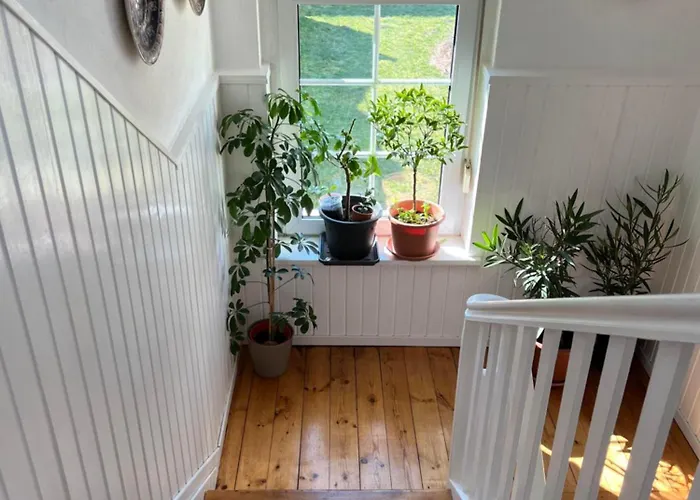 Westfaelischer Hof - 2nd Floor 3*